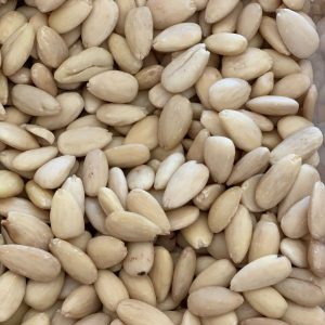 Miolo de Amêndoa S/ Pele