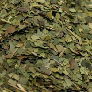 Erva Mate - Folhas